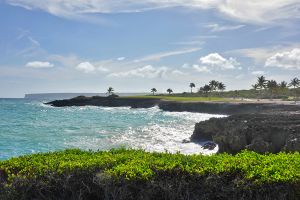 Punta Espada 13th Bushes